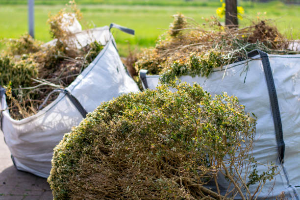 Professional Junk Removal in Madison, AL